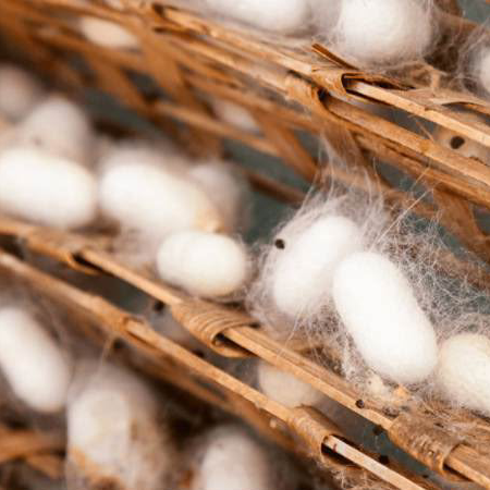 Silk Jamdani
